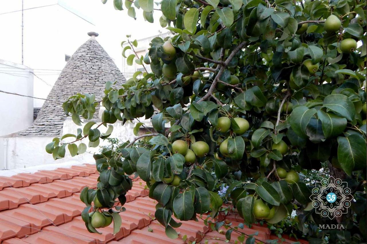 Apartment Trulli Madia Luxury *