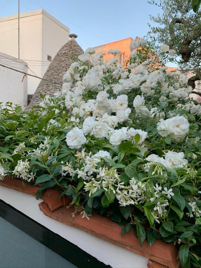 Appartement Trulli Madia Luxury Alberobello