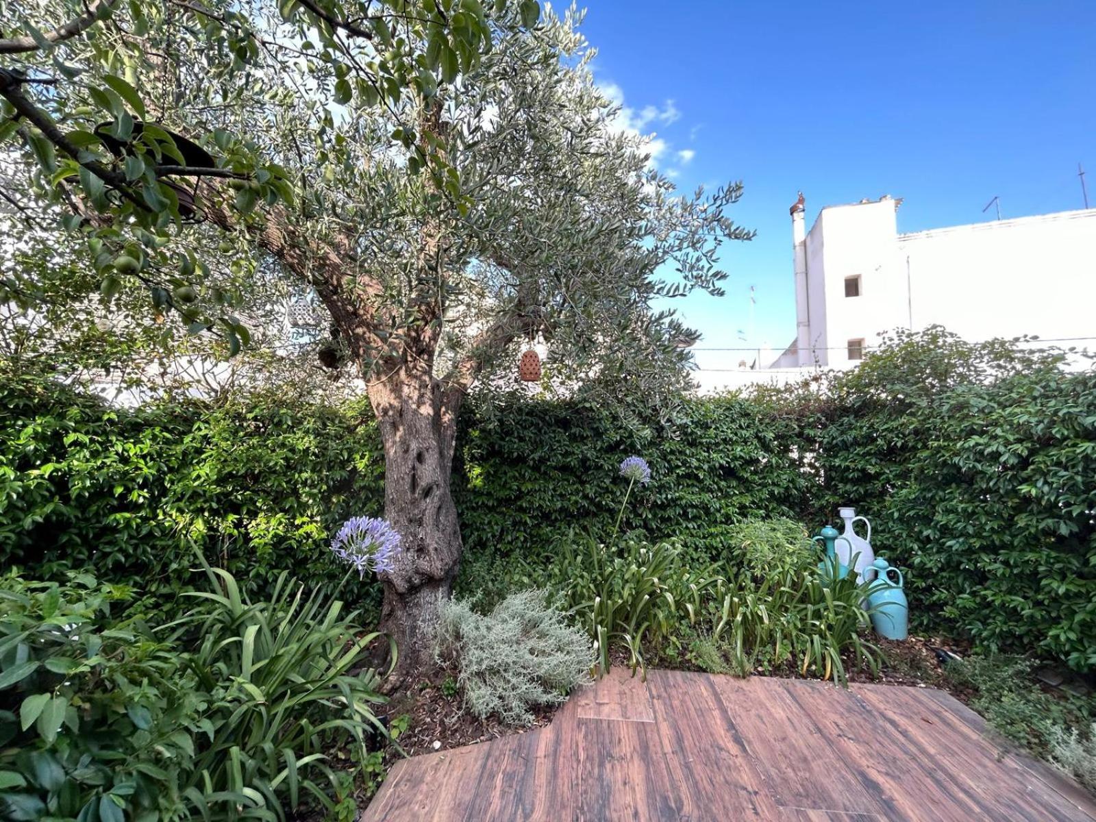 Trulli Madia Luxury Alberobello